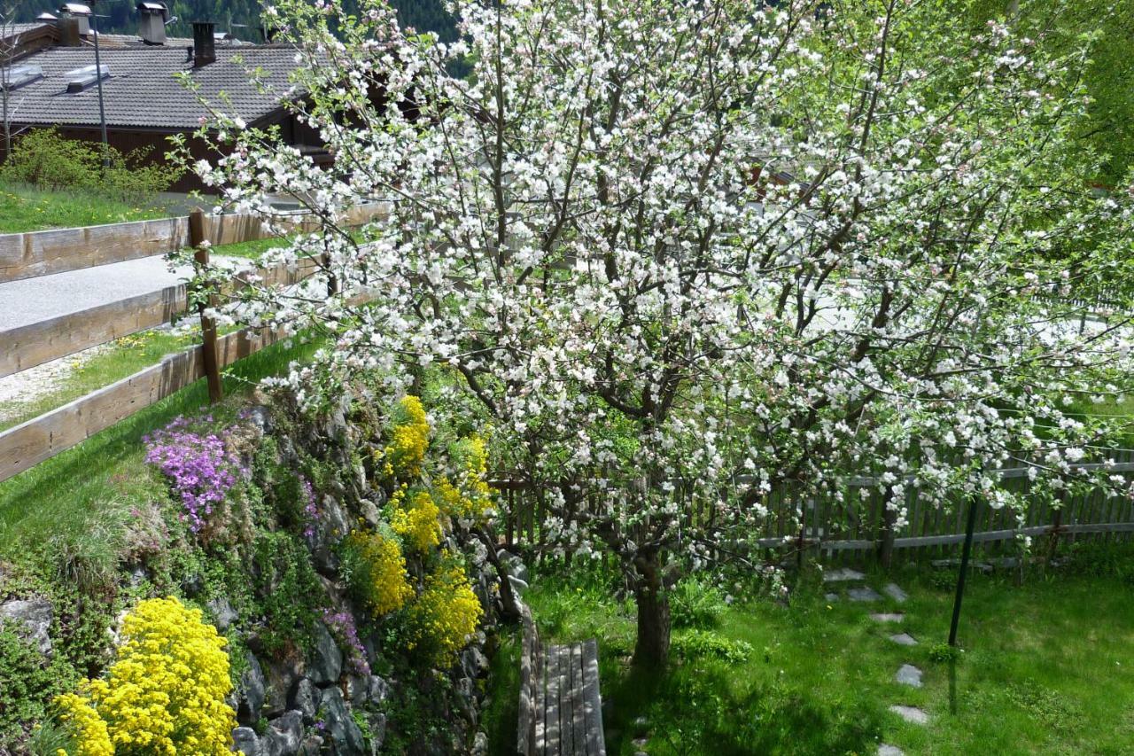 Gruberhof Διαμέρισμα Σαν Κάντιντο Εξωτερικό φωτογραφία